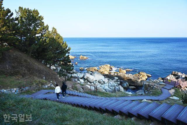 창포말등대 아래에서 위쪽 오포마을까지 해안 절벽을 따라 블루로드 탐방로가 연결된다.