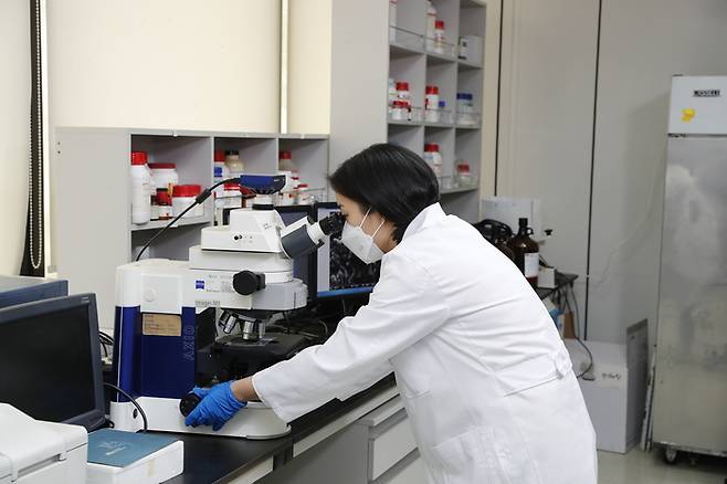 hy가 자체 개발한 L3BBS는 hy 특허 균주 6종으로 구성된 복합물이다. 살아있는 생균으로, 4개 균주가 미국 FDA 기능성 소재 등록을 마쳤다. (hy 제공)