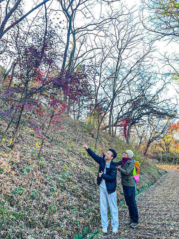 8년 전 어느 단체 프로그램의 일환으로 '길을 잘못 들어선 청소년'과 지리산 둘레길을 걸었다. 다시 만난 아이와 사패산을 걸었다.