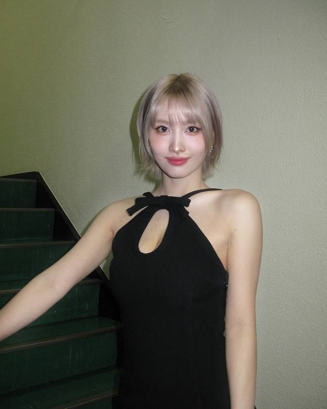 사진출처=모모SNS