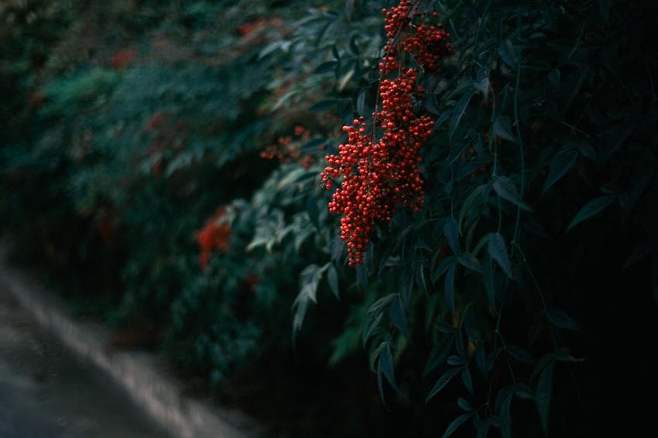 029aef00d0f811804793fbf515dd252ee400ba33bfbf9c0806385f162a8ab2ac3960fb27d87e7b7b14bf9aed04a904da758da80717e0c847fd