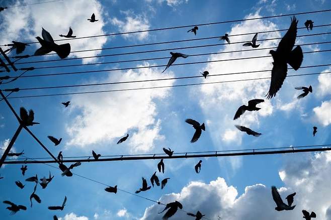 2eb2dc29f7ed30b4378086ec4f821b6c1e6bf0810aa2d0acb44714854f43e5d3ac