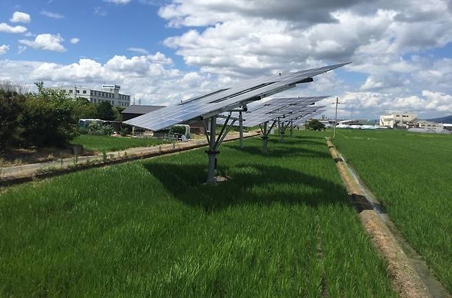 일본 농경지에 설치된 (주)파루의 영농협 양축 트래커.