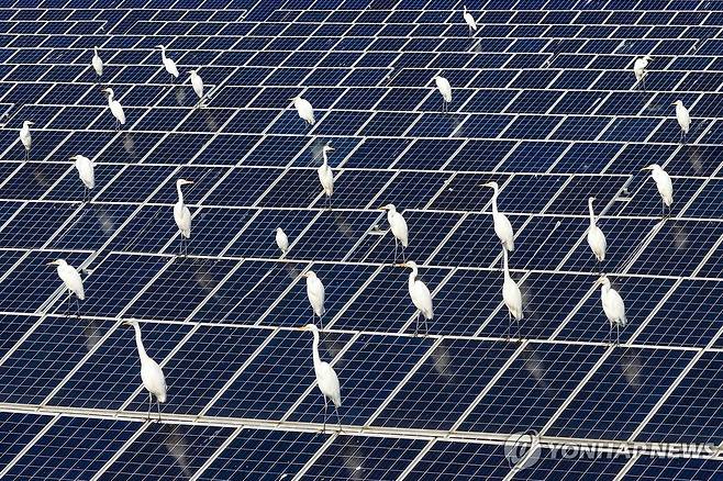 중국 남부 하이난성의 태양광 설비 [AFP 연합뉴스 자료사진. 재판매 및 DB 금지]