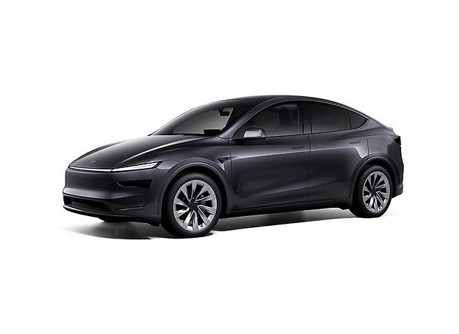 테슬라 모델 Y 주니퍼