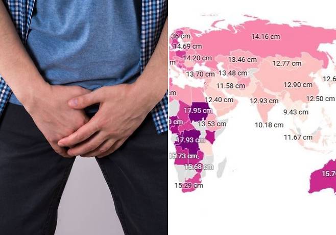 음경을 쥐고 있는 남성(왼)과 142개국의 발기한 음경 길이가 나타난 지도(오)의 모습/사진=게티이미지뱅크, Data Pandas