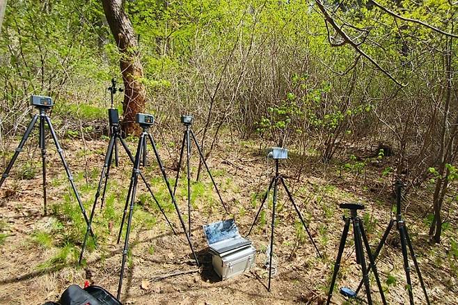 숲의 치유효과를 위한 피톤치드를 검출 중인 모습. 한국산림복지진흥원