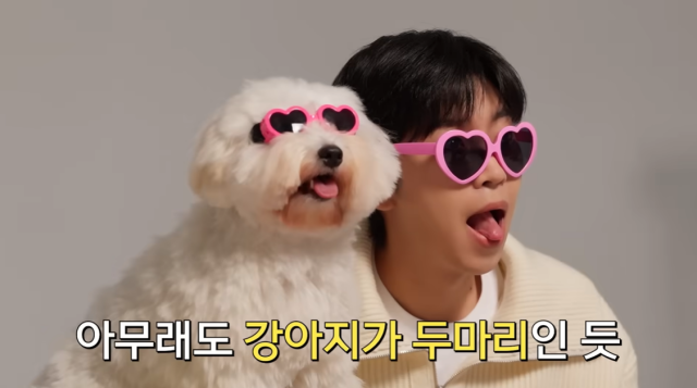 가수 임영웅 / 유튜브 채널 '임영웅'