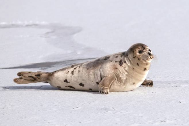 게티이미지뱅크 제공