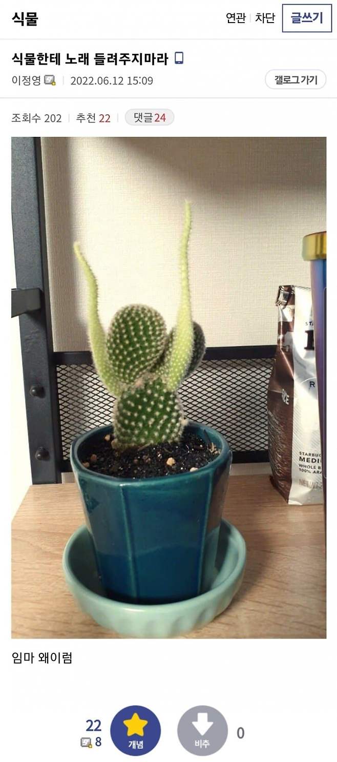 1000035185.jpg 식물한테 노래들려주지 마라