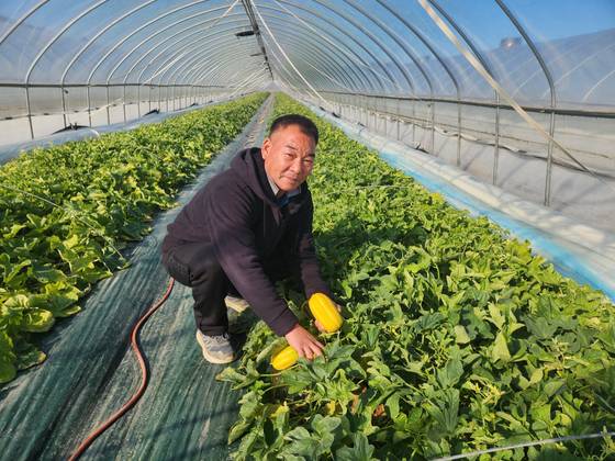 10일 오전 경북 성주군 월항면 보암2리 한 참외 비닐하우스에서 배선호씨가 자신이 재배 중인 참외를 들어보이고 있다. 김정석 기자