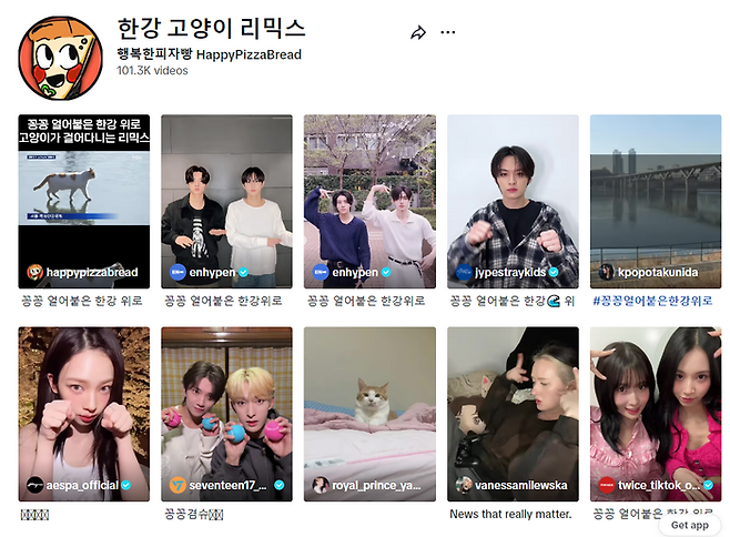 틱톡에서는 같은 음원을 사용한 영상을 모아볼 수 있다. ‘꽁냥이 챌린지’ 음원으로 제작된 콘텐츠 갈무리. 틱톡