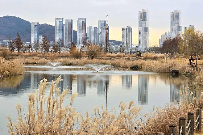 세종시 자연과 빌딩마천루