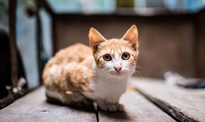 사진=게티이미지뱅크