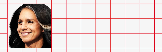 털시 개버드 국가정보국장