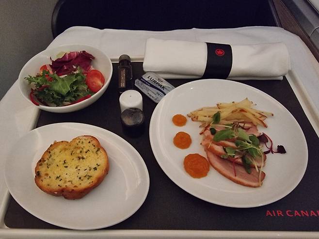 20230614_030618.jpg 포텐 간 ana 비지니스 보고 쓰는 에어캐나다 비지니스.