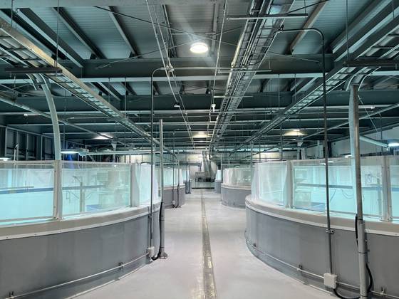 연어 양식장에는 총 20개의 대형 수조가 마련돼 있다. 이은지 기자