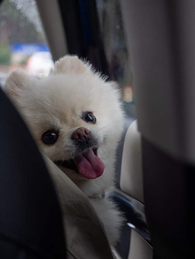 0ce4887fc0f11b8323e8f5e7429c7068e83cc1880b1a5b70892df5ffa65ca122f2568a6a8447eb0a87c09fa3bb08e18cf53069dc0d