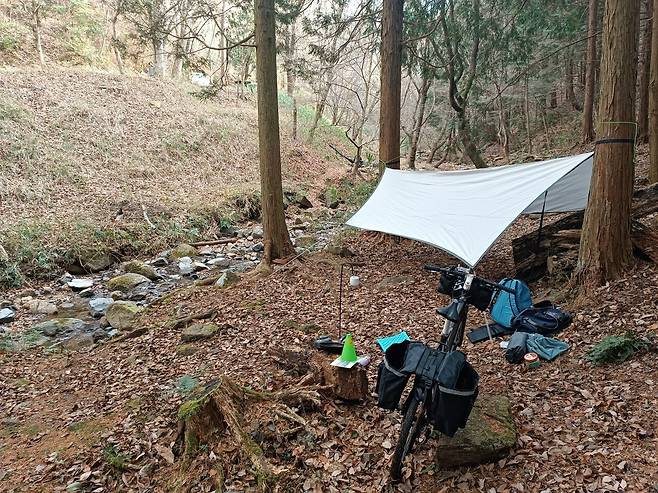 신년맞이 해먹자캠
