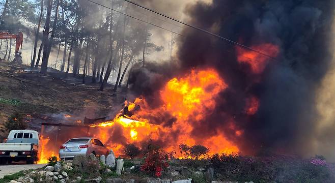 2023년 4월 강원 강릉시 난곡동의 한 야산에서 불이 나 주택이 불에 타고 있다. 현재 강릉에는 강풍경보와 건조경보가 동시에 내려져 있다. [연합]