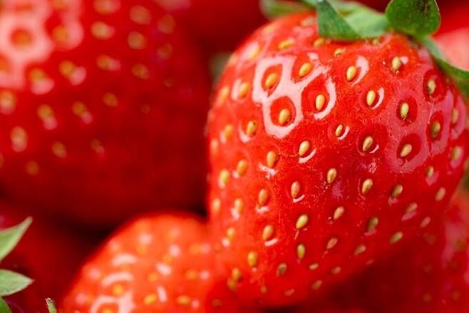 게티이미지뱅크