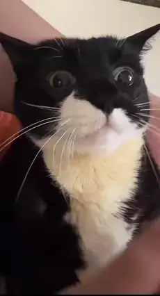 3eb4de21e9d73ab360b8dab04785736f913762bc3561b8b653706cc0cf603d48172132ffeb307100bf1feefdd51028ba80a98891b222