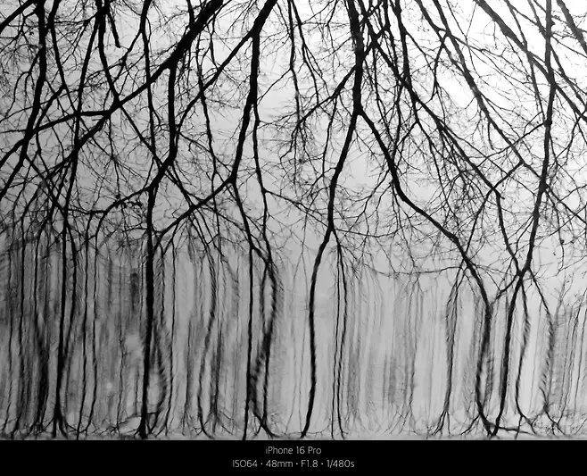 0490f719b18560fe20a8d3b706f11a393f0db43f02fcce0ce5