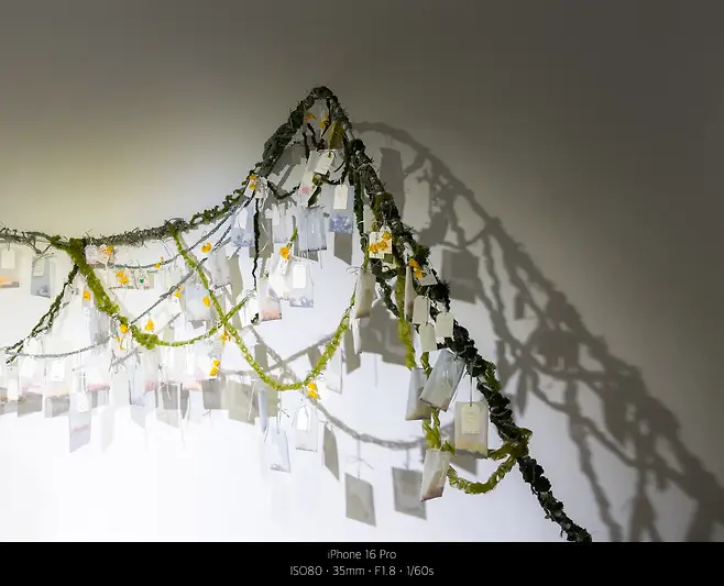 0490f719b18a6bf120a8d3b706f11a39bdf307be335ca387e1