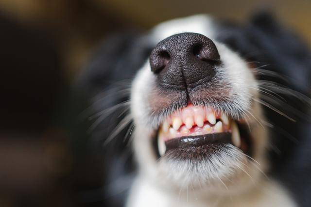 게티이미지뱅크