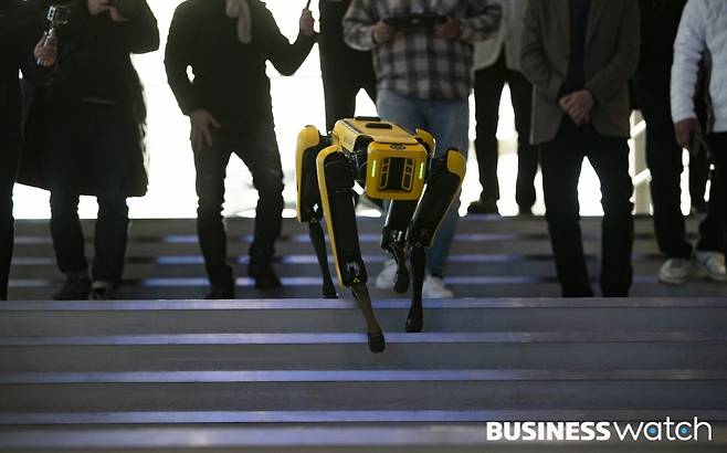 보스톤다이내믹스 4족 로봇 '스팟'/사진=이명근 기자 qwe123@