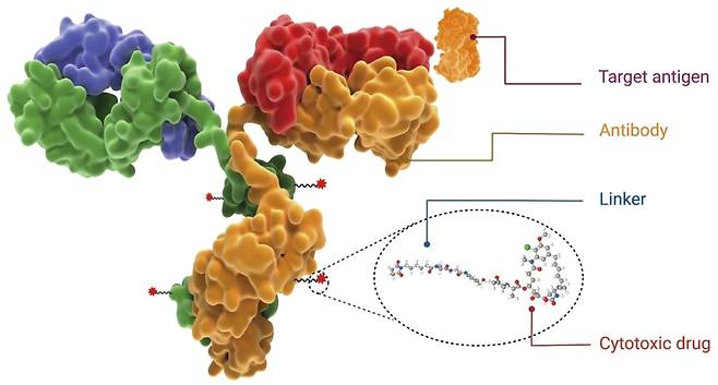 ADC 약물의 구조와 특성.  ADC는 항체, 페이로드, 링커 등 3가지 요소가 연결된 형태이다.  /네이처