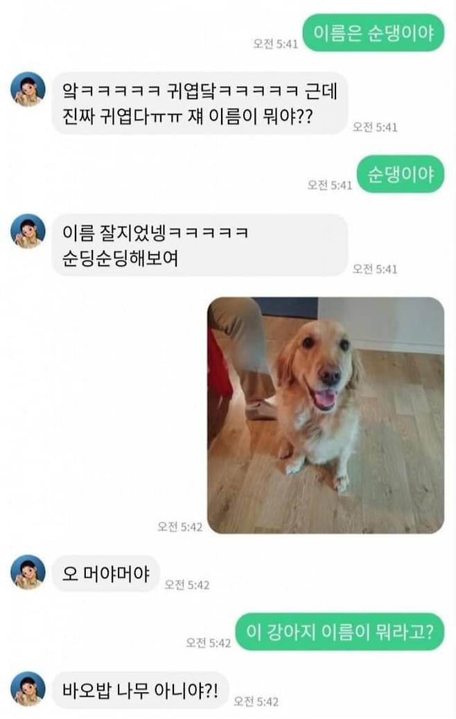 IMG_1676.jpeg 치매걸린 여자친구와 채팅