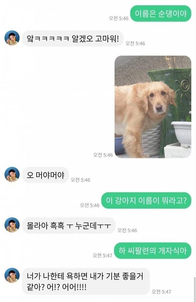 IMG_1680.jpeg 치매걸린 여자친구와 채팅