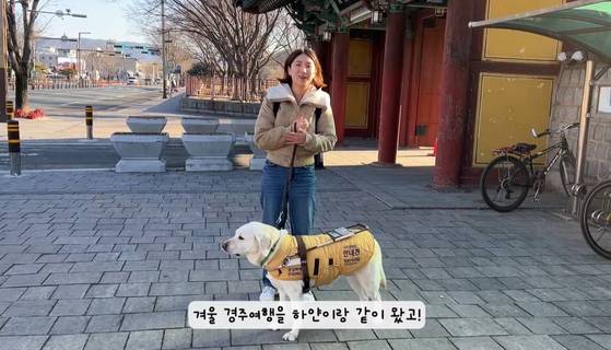 경북 경주의 한 다이소 매장에서 시각장애인과 동행한 안내견을 쫓아내 논란이다. 유튜브 캡처