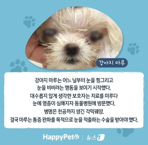 ⓒ News1 김지영 디자이너