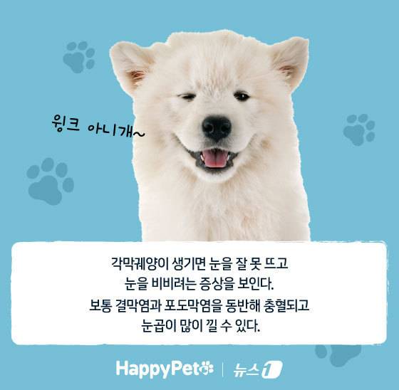 ⓒ News1 김지영 디자이너