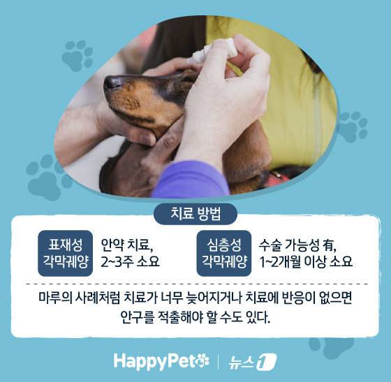 ⓒ News1 김지영 디자이너