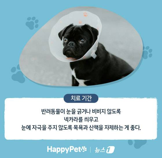 ⓒ News1 김지영 디자이너