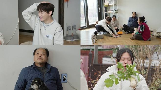 KBS 2TV ‘살림남’. 사진 | KBS