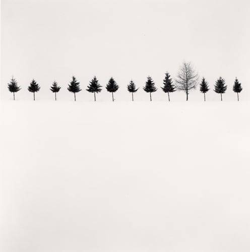 일본 홋카이도 비에이 눈밭에 늘어선 나무들, 마이클 케나 Line of Trees_ Biei_ Hokkaido_ Japan. 2012ⓒ Michael Kenna.