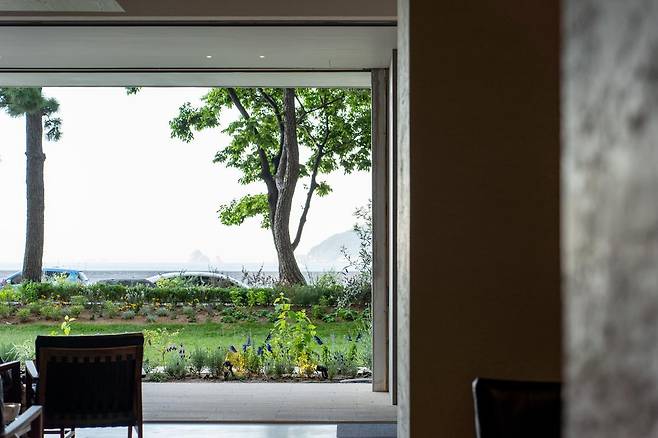 부산 해운대구 ‘모모스커피 마린시티점’.  해운대 바다를 조망하는 숲정원으로 조성돼 있다.  모모스커피 제공