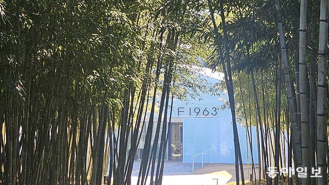 부산시 제1호 민간정원으로 지정된 수영구 망미동 ‘F1963’ 정원.  부산=김선미 기자 kimsunmi@donga.com