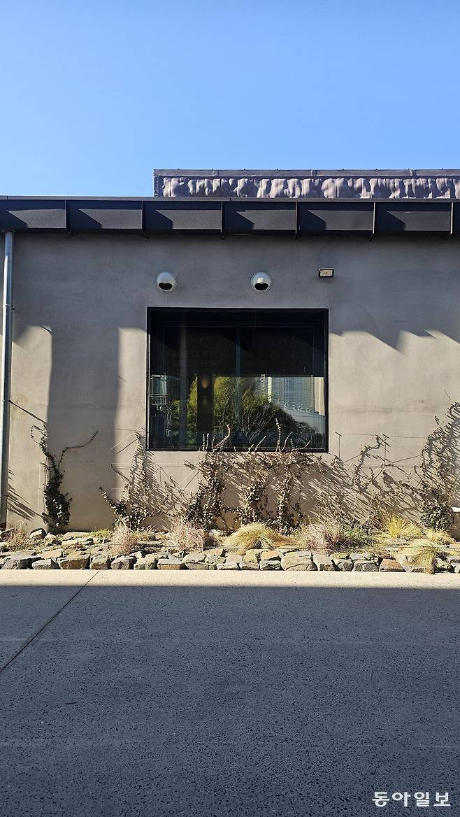 F1963 암석 정원.