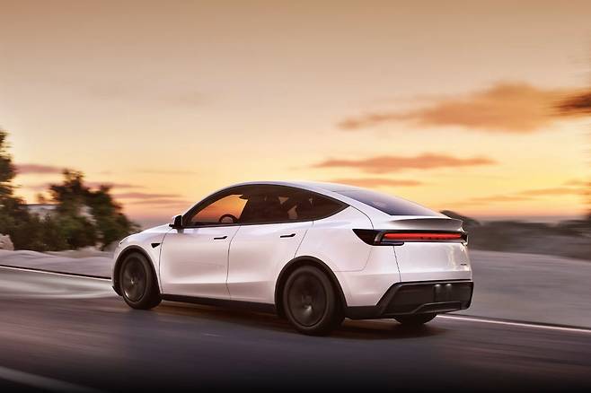 테슬라 모델 Y 주니퍼