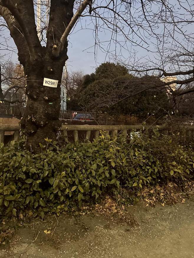 0490f719b3826ef120b5c6b236ef203e98370cfe2154ea61ac