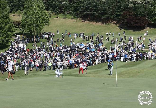 구름 갤러리가 몰린 지난 해 KLPGA투어 경기 장면. [사진=KLPGA]