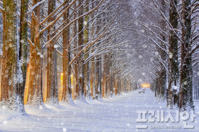 ▲담양군이 설 연휴를 맞이해 대표 관광지를 무료 개방한다ⓒ담양군