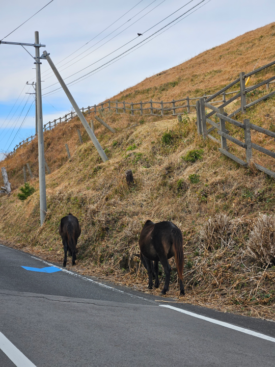 7cef8074b08269f73f8087e04485766bfc1af62787d2ff67703fba4267774e0f