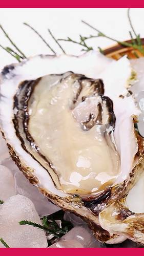 굴(Oyster) / rimotion