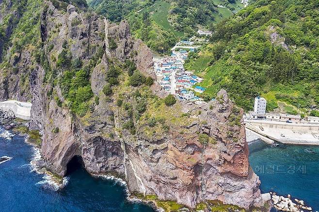 천연기념물 울릉도 향나무자생지 서면 통구미 마을(울릉군 제공)